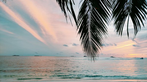 Peut-on voyager en avion vers le Portugal avec une carte d'identité périmée ?